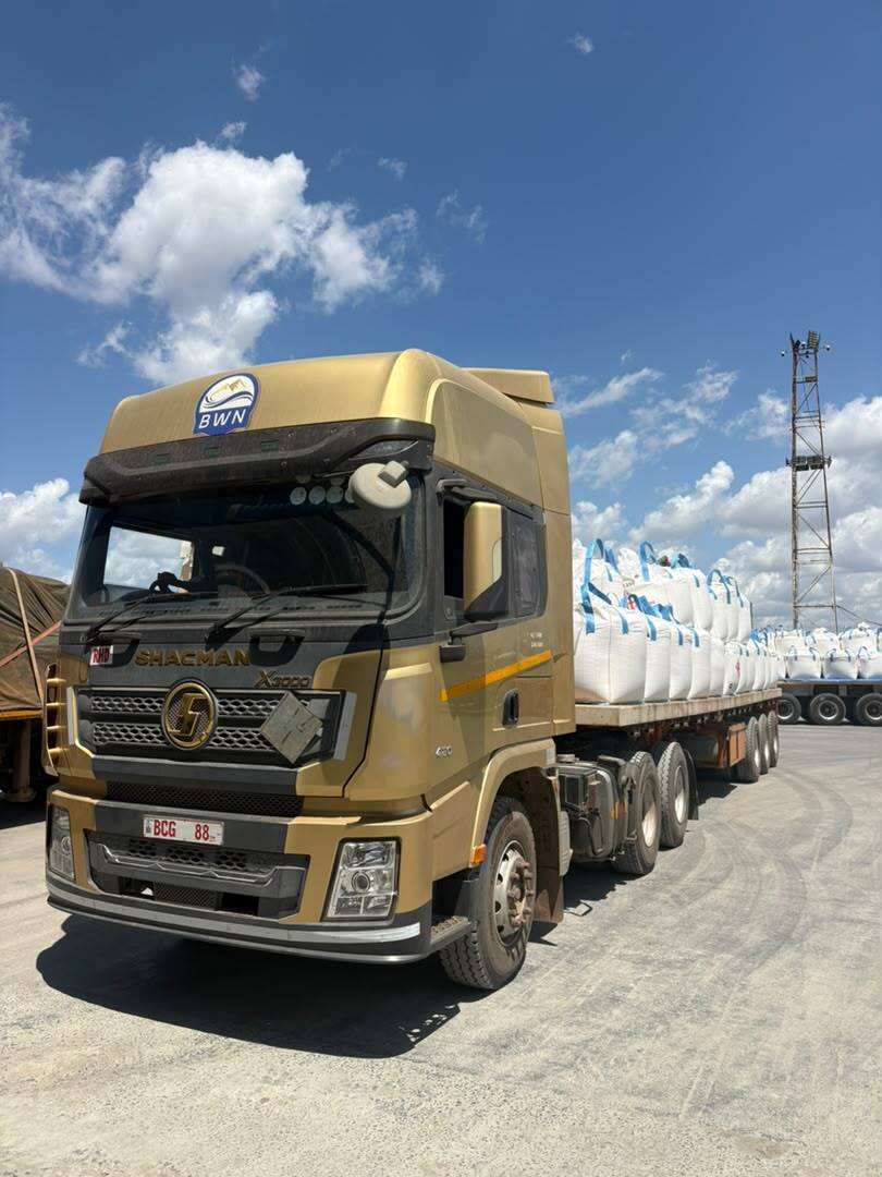 Clearing and Transportation Project